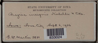 Image Associated With the Occurence